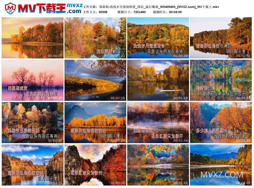 郑莉莉-浅浅岁月深深的爱_国语_流行歌曲_MD405493